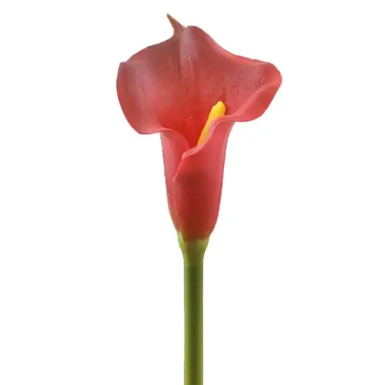 DII&reg; Red Flower Cala Lily Set, 3ct. {3}