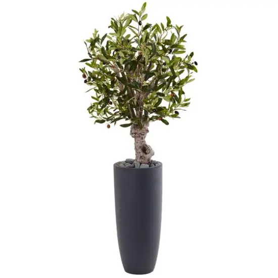 3.5ft. Olive Tree in Gray Cylinder Planter {1}