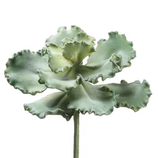 Soft Touch Green Curly Echeveria Pick {1}