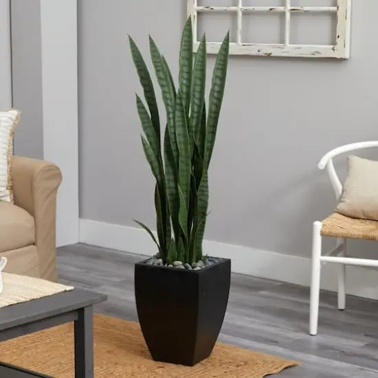 4.5ft. Snake Plant in Decorative Black Planter {3}
