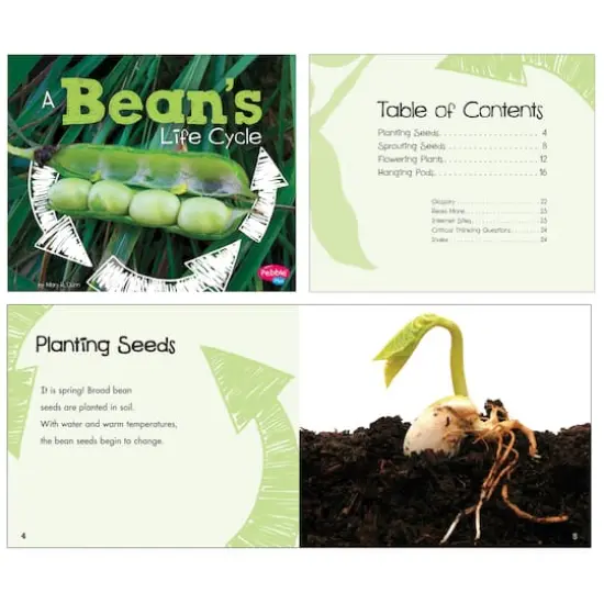 Pebble Plus Explore Life Cycles Set {4}