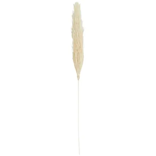 Cream Pampas Grass Stem {1}