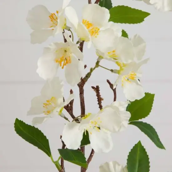 38" White Blossom Flower Stems, 3ct. {6}