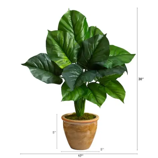 2.5ft. Large Philodendron Leaf Plant in Decorative Planter {3}