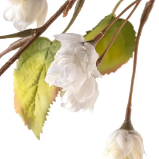 Cream Hops Spray by Ashland&reg; {4}