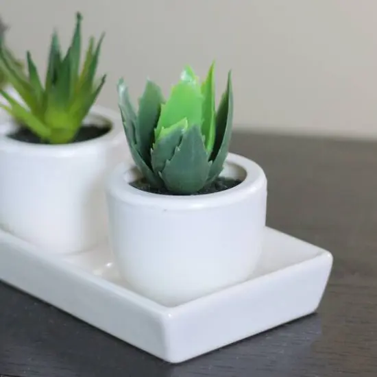 3.5" Tabletop Faux Succulent Planter with Pot {3}