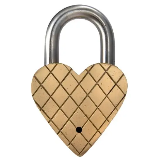 Hello Honey&reg; Matte Finish Brass & Stainless Steel Heart-Shaped Lock with Flowers Set {7}
