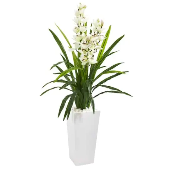 4.5ft. Boat Orchid Plant in Decorative White Tower Planter {1}
