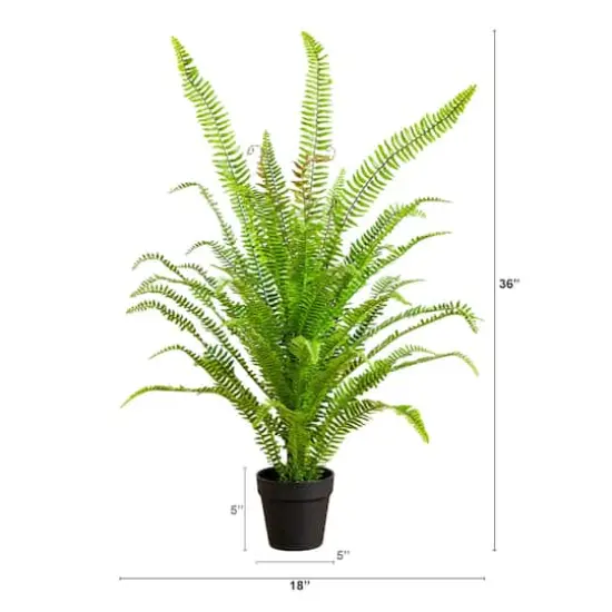 3ft. UV Resistant Artificial Boston Fern Potted Plant with Real Touch Leaves (Indoor/Outdoor) {3}