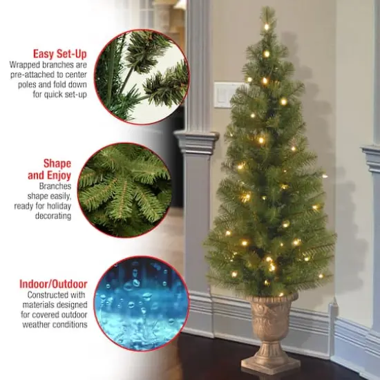 4ft. Pre-Lit Montclair Spruce Entrance Artificial Christmas Tree with Clear Lights {4}