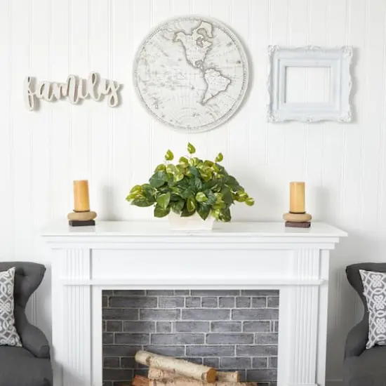 14" Pothos with White Wash Planter {5}