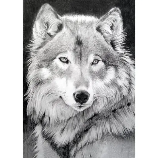 Crafting Spark Diamond Painting Kit Grey Wolf  {3}