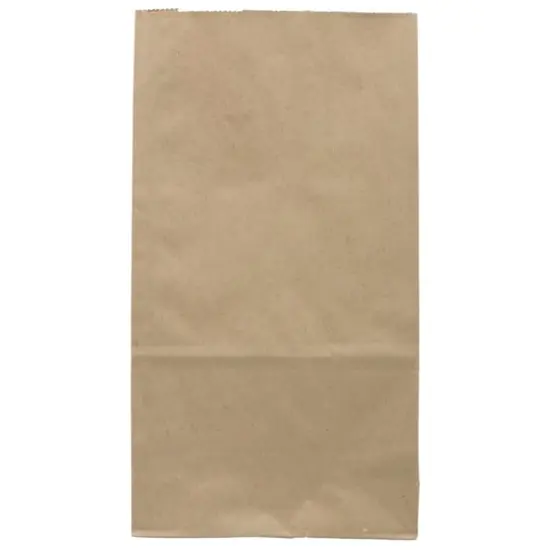 JAM Paper Brown Kraft Lunch Bags, 500ct. {3}