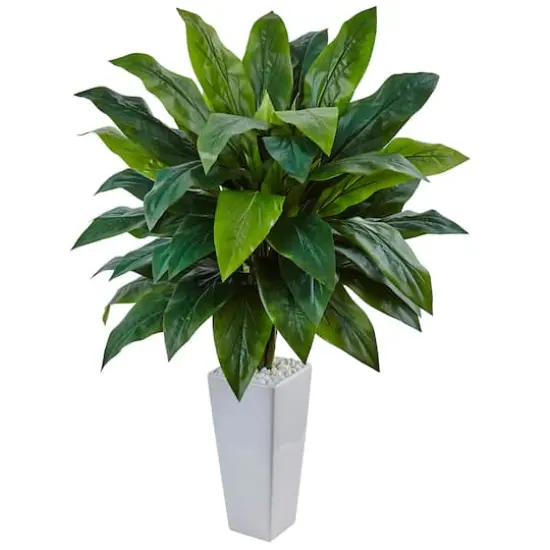3ft. Cordyline Plant in White Tower Planter {1}