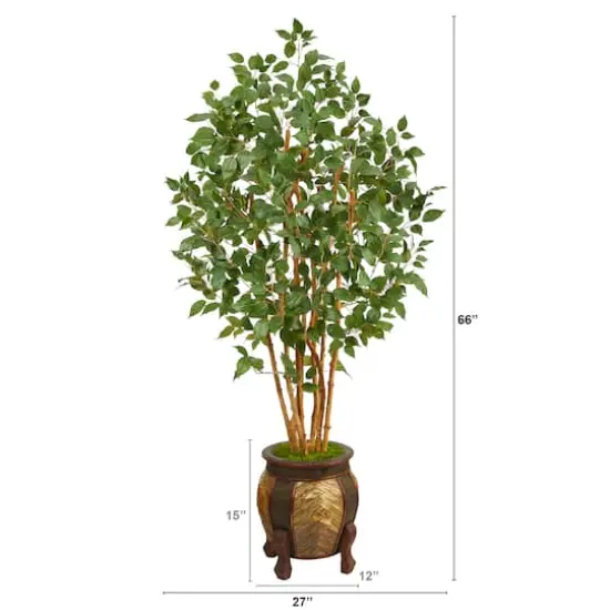 5.5ft. Bushy Ficus Tree in Decorative Planter {3}