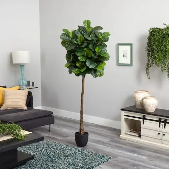 6ft. Potted Fiddle Leaf Tree {4}