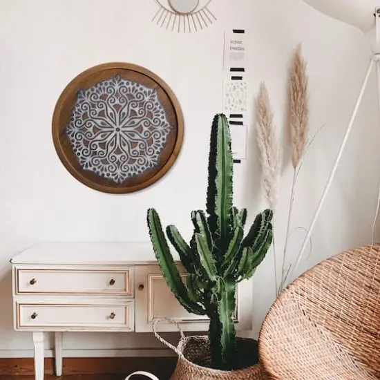 American Art Decor&trade; 17" Brown and White Boho Rustic Farmhouse Wood Framed Wall Medallion {3}