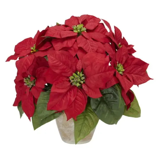 13" Potted Poinsettia with Ceramic Vase {1}