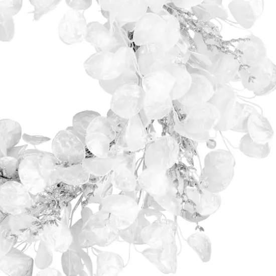 24" Winter Frost White Wreath {4}