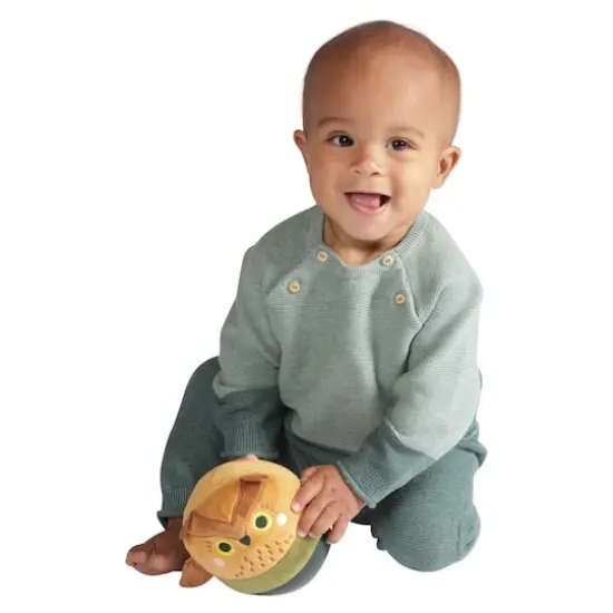 Manhattan Toy&reg; Wobbly Bobbly Owl Weighted Soft Silicone Wobble Ball {6}