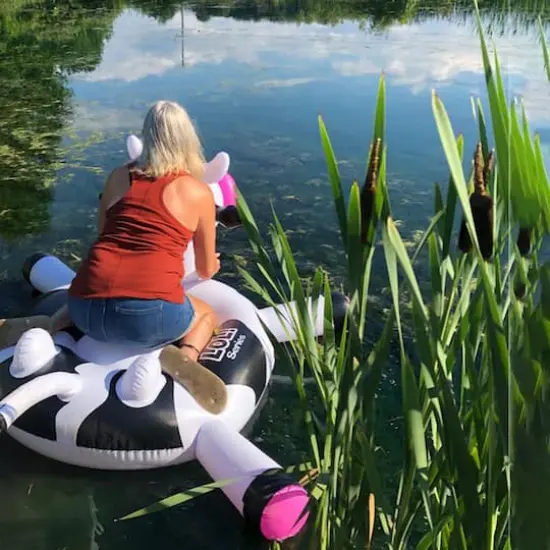 Swimline LOL! Series 54" Inflatable Black & White Cow Pool Float {5}