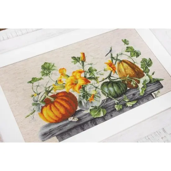 Luca-s Pumpkin Counted Cross Stitch Kit {3}
