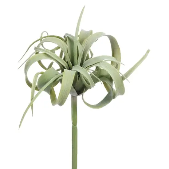 Light Green Gray Tillandsia Pick  {1}