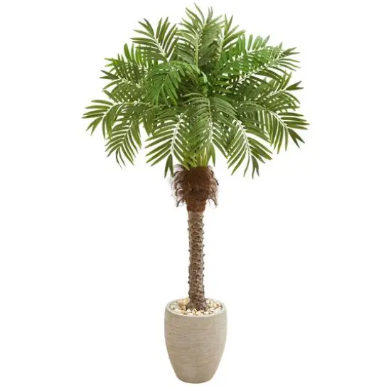 5.5ft. Robellini Palm Tree in Sandstone Planter {1}