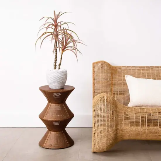 2ft. Potted Dracaena Marginata Plant {3}