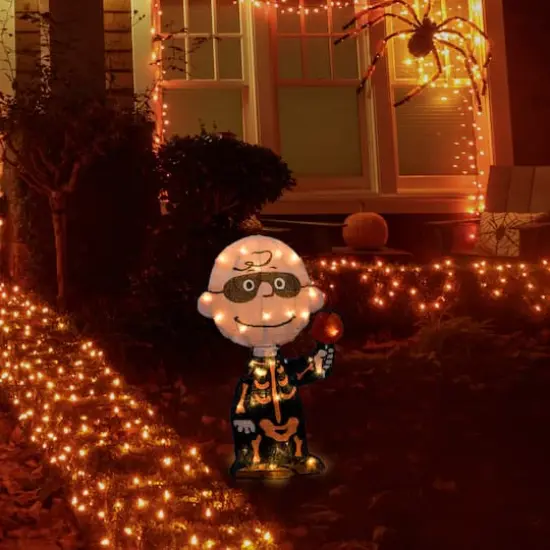 18" LED Peanuts Charlie Brown Bones Yard Art {6}