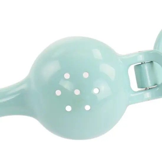 Martha Stewart Cast Aluminum Citrus Squeezer {5}