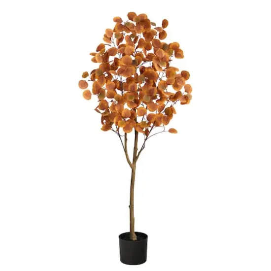 5ft. Potted Autumn Eucalyptus Tree {1}