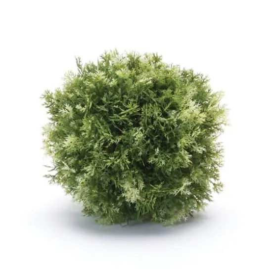 Foliage Half Orbs, 2ct. {1}