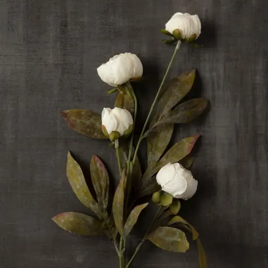 Cream Peony Stem by Ashland&reg; {6}