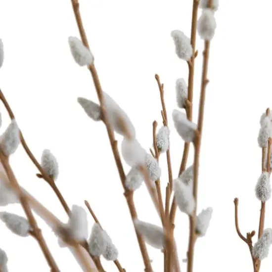 2ft. Pussy Willow Arrangement in Modern Metal Black Vase {7}