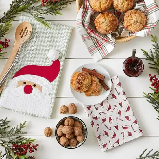 DII&reg; Santa Dishtowel Set {8}