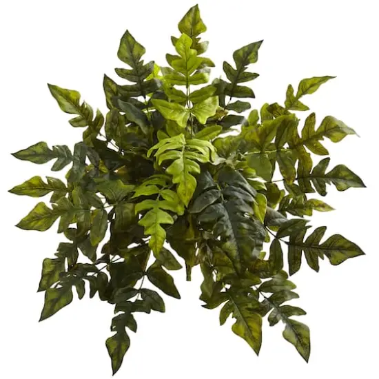 24in. Holly Fern Plant, 2ct. {1}