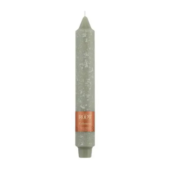Root Candles 9" Unscented Timberline&trade; Collenette Taper Candles, 4ct. Sage Green {4}