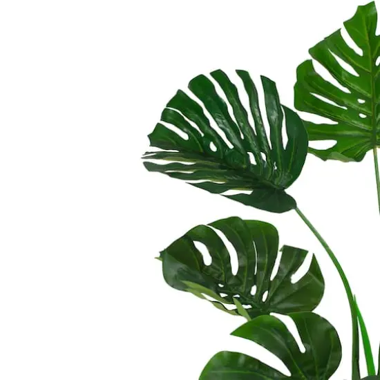2.9ft. Potted Wide Leaf Monstera Floor Plant {4}