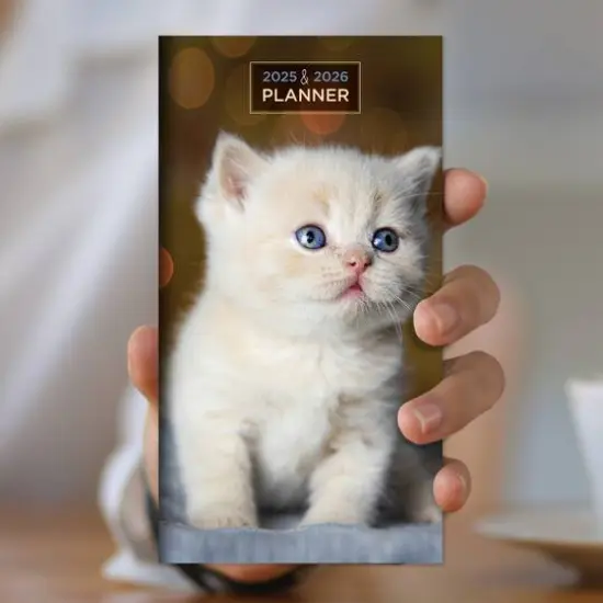 TF Publishing 2025-2026 Small Kitten Monthly Pocket Planner {3}