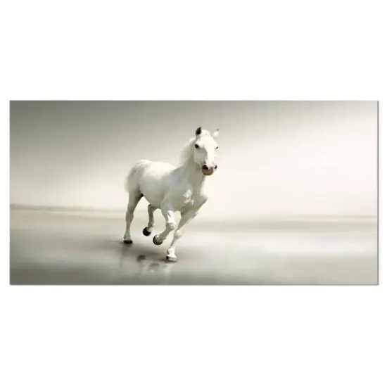 Designart - Beautiful White Horse Running - Animal Canvas Art Print {1}