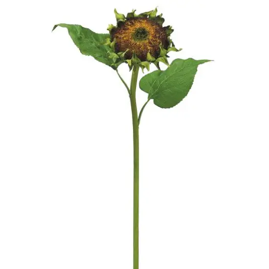 Brown Medium Flower Head Sunflower Spray {1}