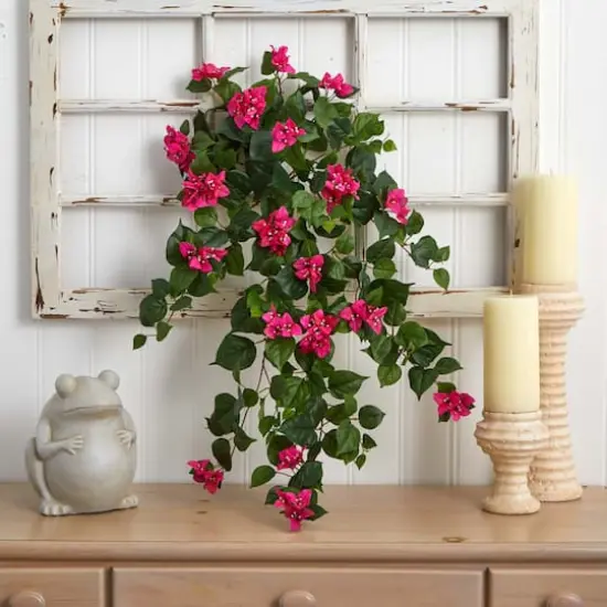 3ft. Bougainvillea Hanging Plant Set {3}