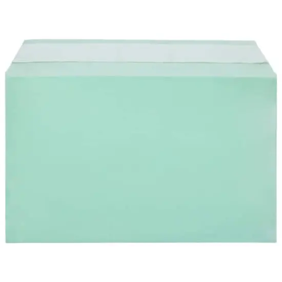 JAM Paper 5.43" X 8.62" Self Adhesive Closure Cello Sleeves, 100ct. Green {1}