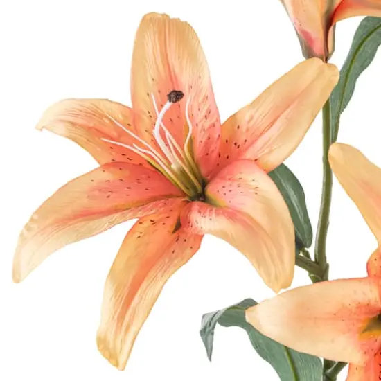 Casablanca Lily Stem by Ashland&reg; Flame {4}