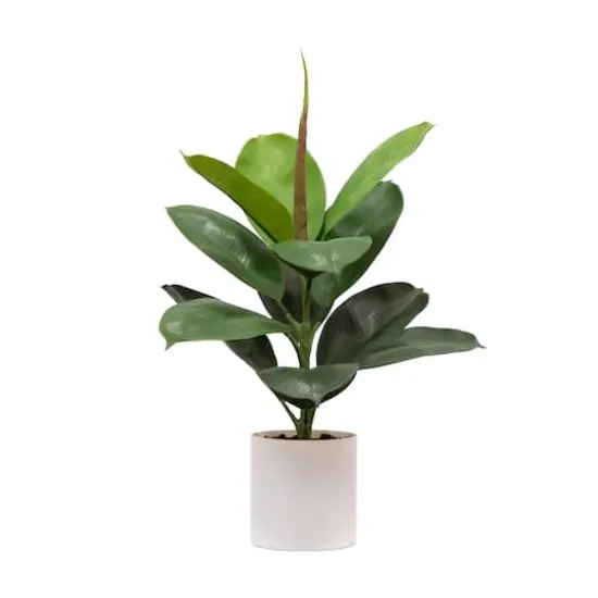 20in. Artificial Fiddle Leaf Fig Plant {1}
