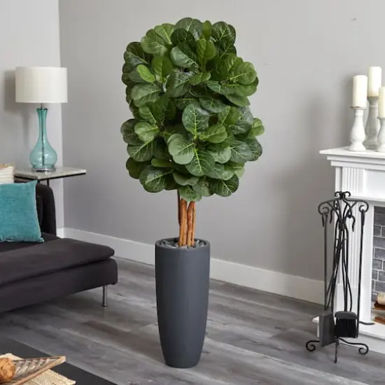 5.5ft. Fiddle Leaf Tree in Gray Cylinder Planter {3}
