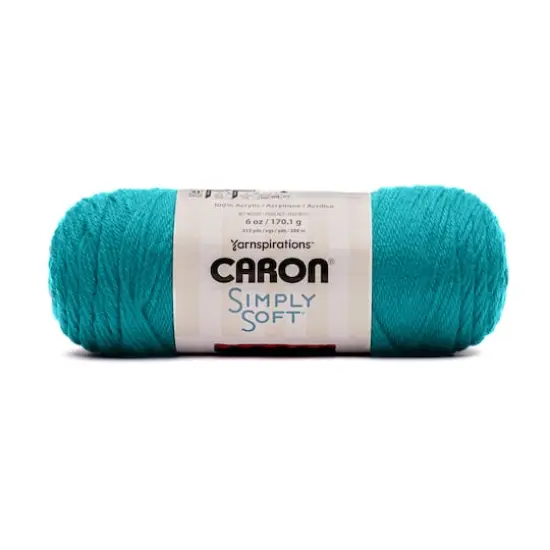 Caron&reg; Simply Soft&reg; Solid Yarn Blue Mint {1}