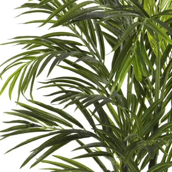 2.5ft. Potted Areca Palm {3}