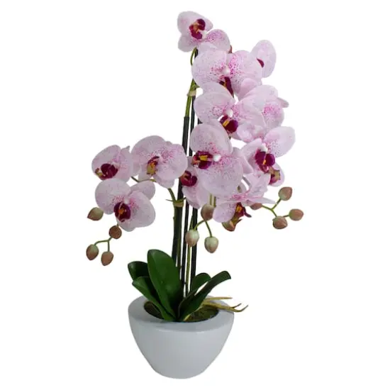 21" Pink & White Orchid Plant in White Pot {1}